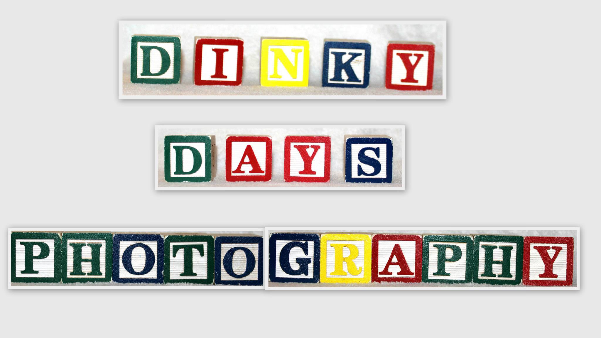 Happy 6th Birthday Dinky Days Photography!